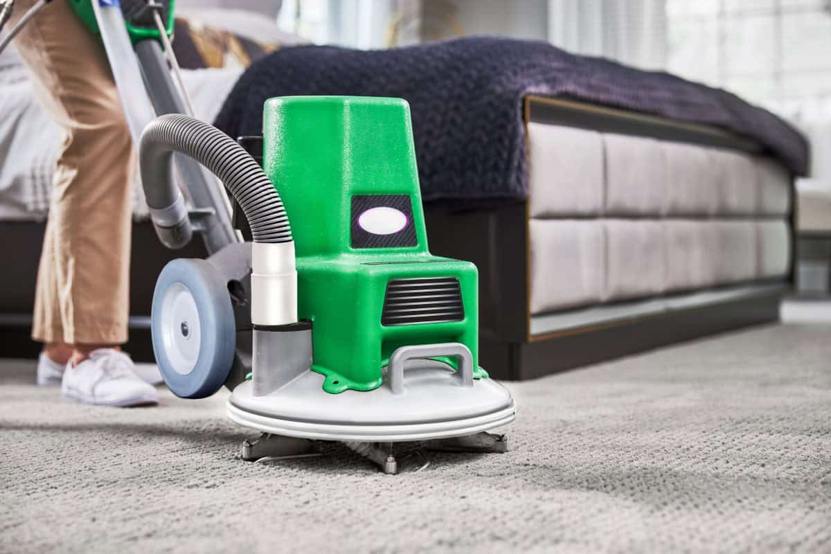 carpet cleaning colchester